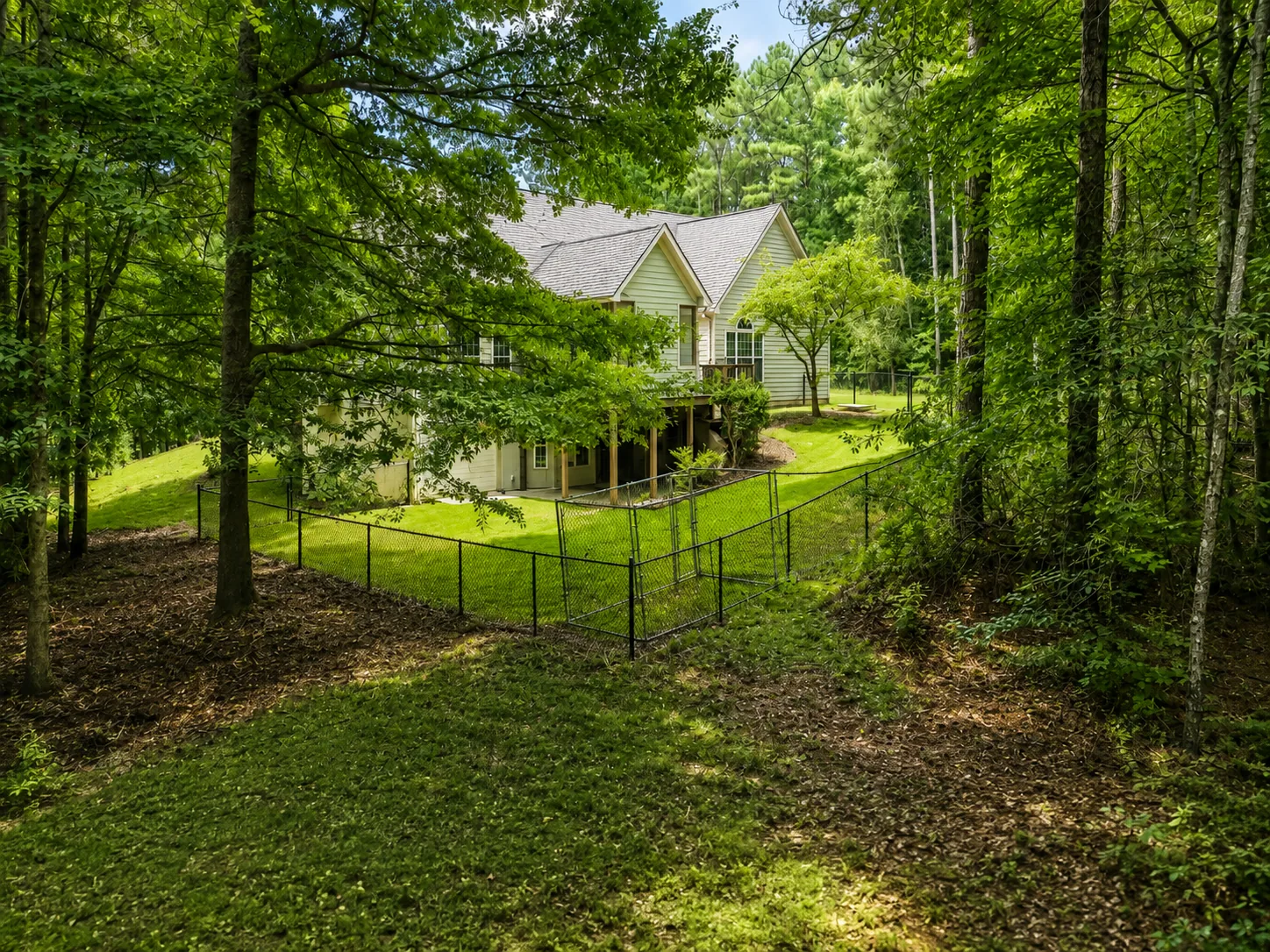 Wooded Backyard
