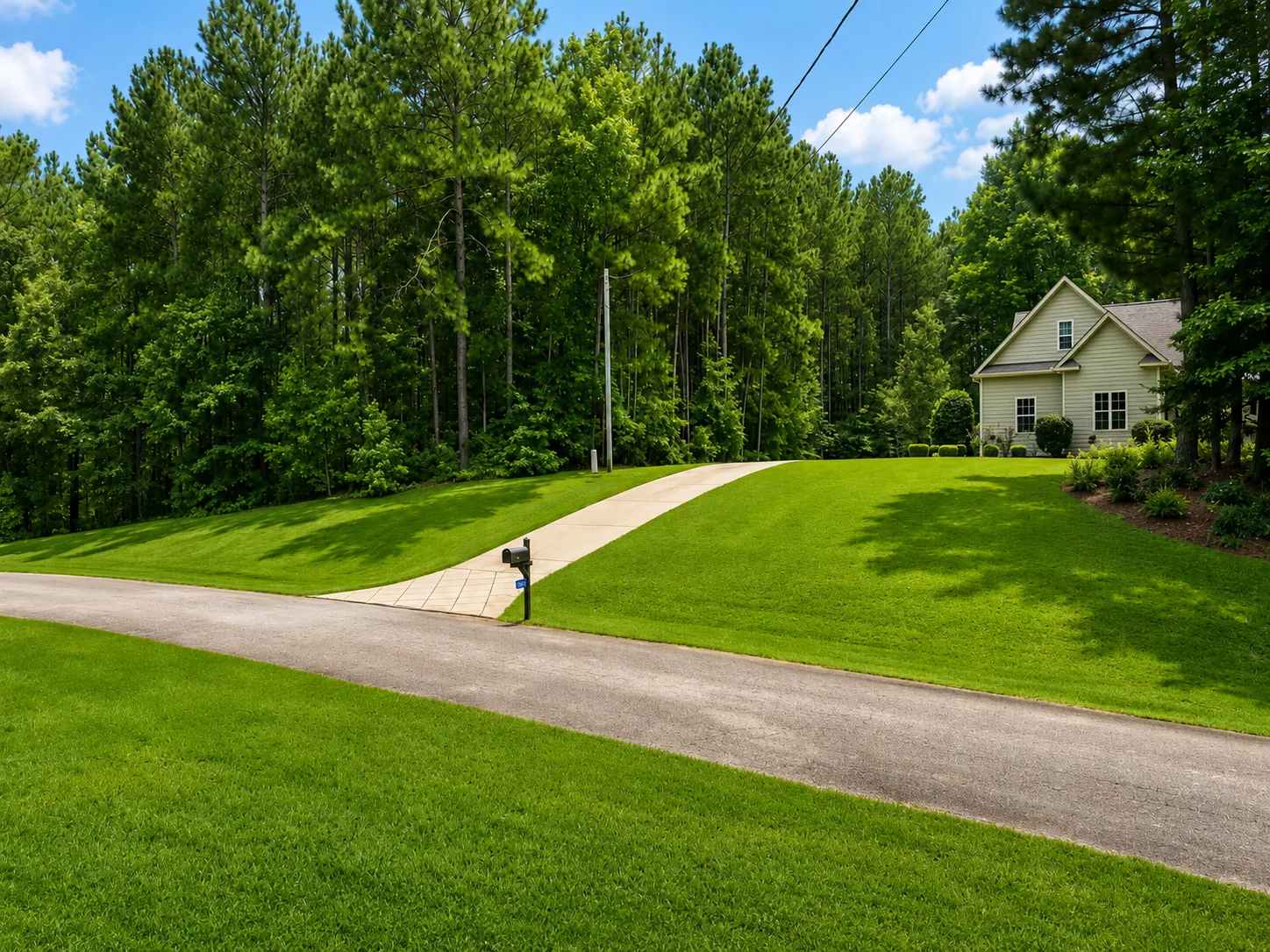 Wide Lawn & Street View